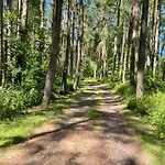 Pod Lasem * Rusinowo (Slawno)
