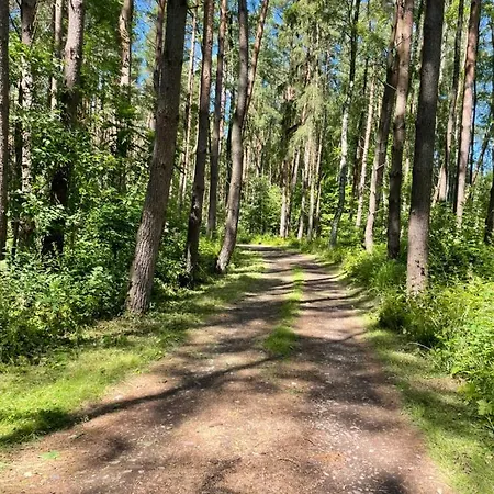 Pod Lasem * Rusinowo (Slawno)