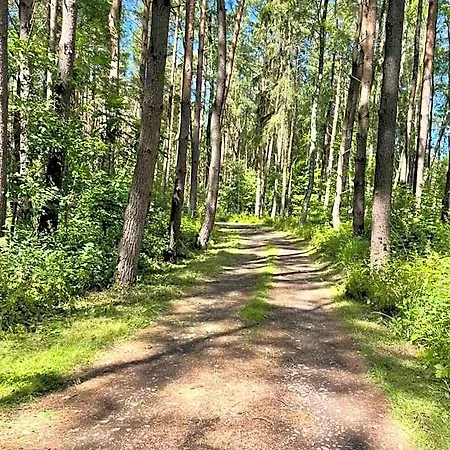 Pod Lasem Lodge Rusinowo (Slawno)