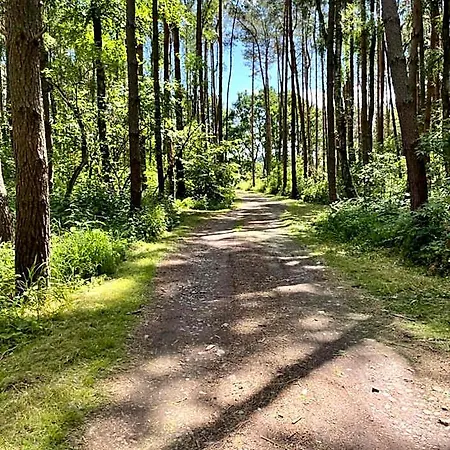 Pod Lasem Lodge Rusinowo (Slawno)
