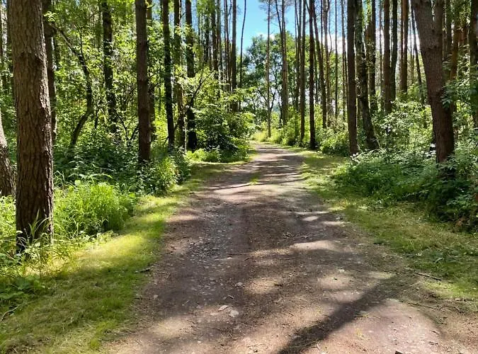 Lodge Pod Lasem Rusinowo (Slawno)